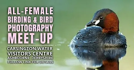 All-Female Birding & Bird Photography Morning