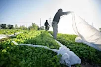 Winter Grower Workshop