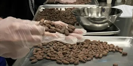 Dark Chocolate Making 101 - From The Bean (2 Evenings)