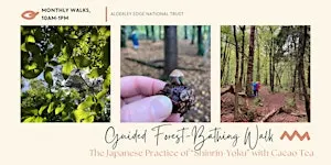 Guided Forest-Bathing Walk with Cacao Tea
