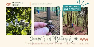 Special "Silent" Guided Forest-Bathing Walk with Cacao Tea