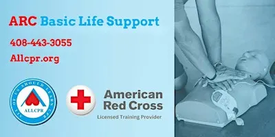 Red Cross Basic Life Support class in Buffalo