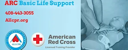 Red Cross Basic Life Support class in St. Louis