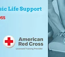 Red Cross Basic Life Support class in Albuquerque