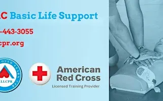 Red Cross Basic Life Support class in Baton Rouge