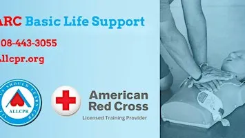Red Cross Basic Life Support class in Buffalo