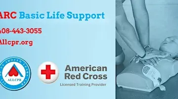 Red Cross Basic Life Support class in Ridgeland