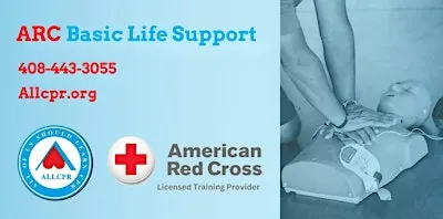 Red Cross Basic Life Support class in Spring Hill