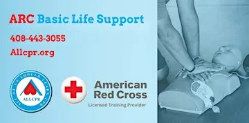 Red Cross Basic Life Support class in Ridgeland