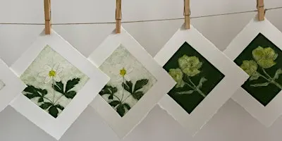 Introduction to Collagraph Printing