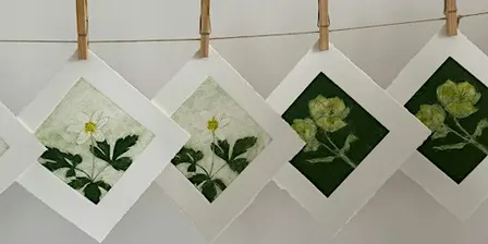Introduction to Collagraph Printing