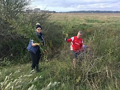 Corporate Wild Work Day: Conservation Day at Rye Harbour Nature Reserve