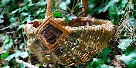 Willow Foraging Basket
