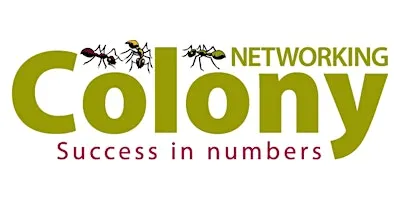 Wrexham Networking With Colony Networking