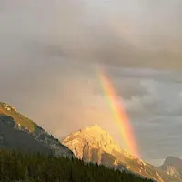 Healing Through Grief Group Reiki 11-22-26