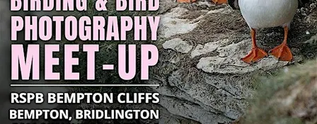 All-female Birding & Bird Photography Meet-Up