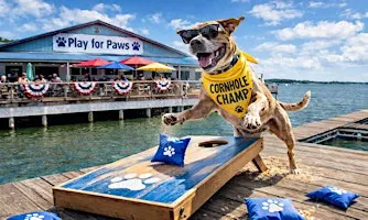 Play for Paws Annual Cornhole tournament