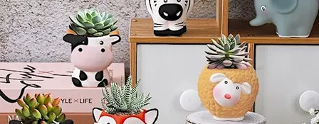 Paint Your Own Animal Succulent Planter