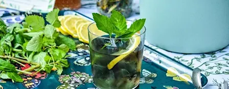 Cocktails & Mocktails Workshop with Botanical Infusions