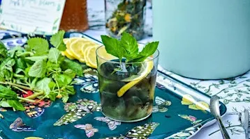 Cocktails & Mocktails Workshop with Botanical Infusions