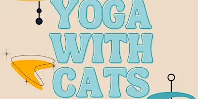 Yin Yoga With Cats