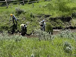 National Public Lands Day: 910 Ranch Restoration