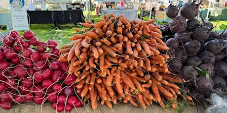 The Esquimalt Farmers Market @ Memorial Park