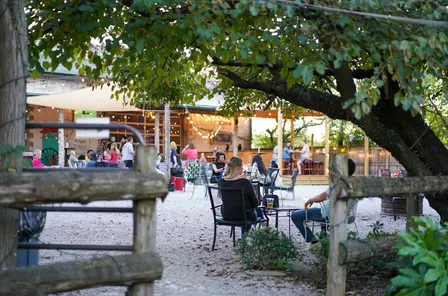 Music Bingo at Loflin Yard
