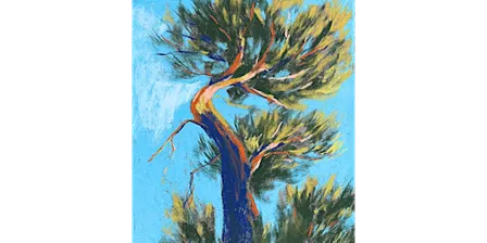 Expressive Trees in Charcoal with Emily Rose Fine Art