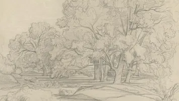 Introduction to Drawing: Foundations Workshop