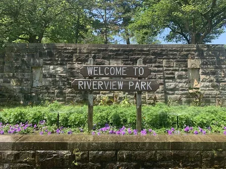 Riverview Park Tree ID Hike