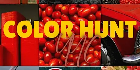 Color Hunt YYC