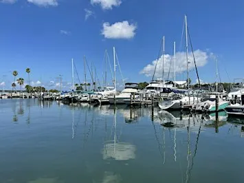 Clean Marina Workshop