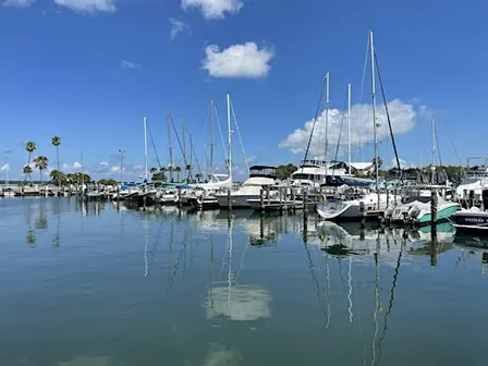Clean Marina Workshop