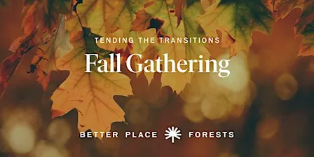 Rock River Memorial Forest | Tending the Transitions Fall Gathering