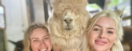 Alpacas, Geese, Bees & Great Pyrenees Farm Tour Adventure
