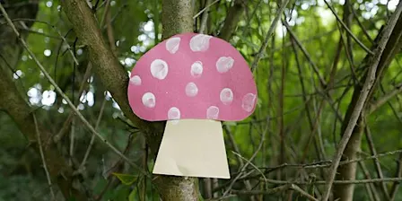 Swanwick Lakes Wildlife Tots: Fantastic Fungi!