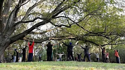Qigong and Tai Chi at Springs Park