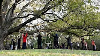 Qigong and Tai Chi at Springs Park