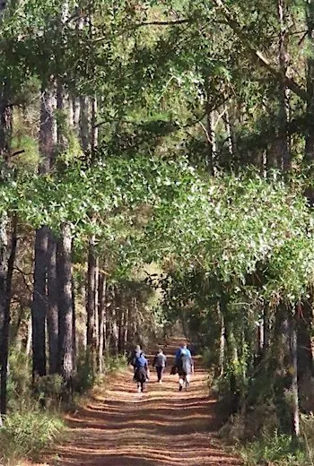 Park Explorers 6-Week Walking Program