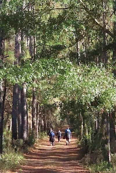 Park Explorers 6-Week Walking Program