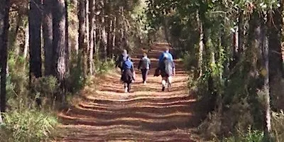 Park Explorers 6-Week Walking Program