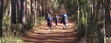 Park Explorers 6-Week Walking Program