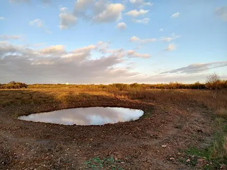 Members' Guided Walk: Potteric in Autumn