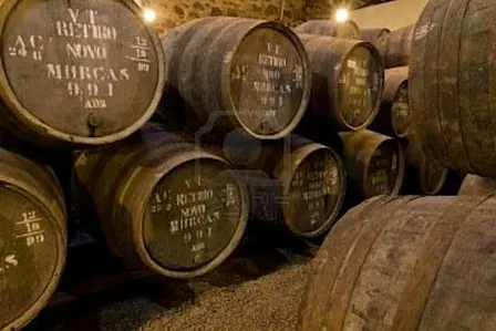 Fortified Wines of the World: A Global Exploration.