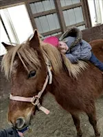 Pony Preschool November 7 (11:30am)