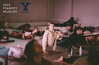 Yoga at the Peabody