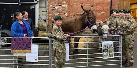 Brave Tails : Animals who served