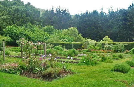 Fall Daylong Yoga & Meditation Retreat at Green Gulch Farm & Zen Center