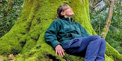 Forest Bathing, Mindfulness and Wellbeing Walk, Tehidy Wood